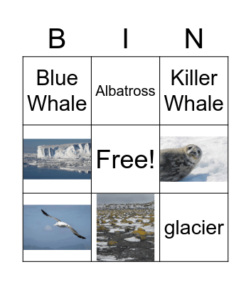Miss L's Antarctic Bingo Card