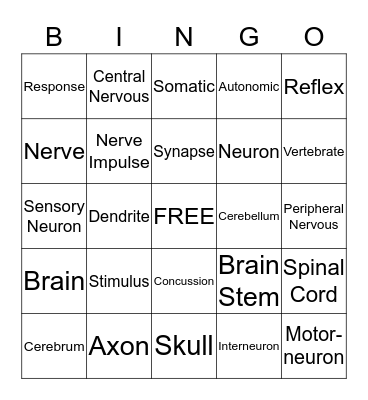 Nervous System Bingo Card
