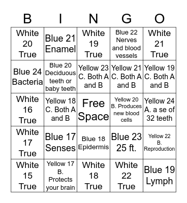 Body Bingo Card
