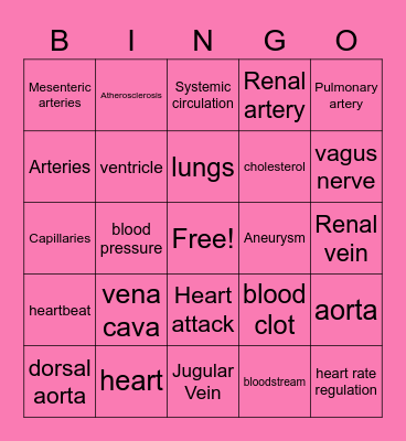 the circulatory system Bingo Card