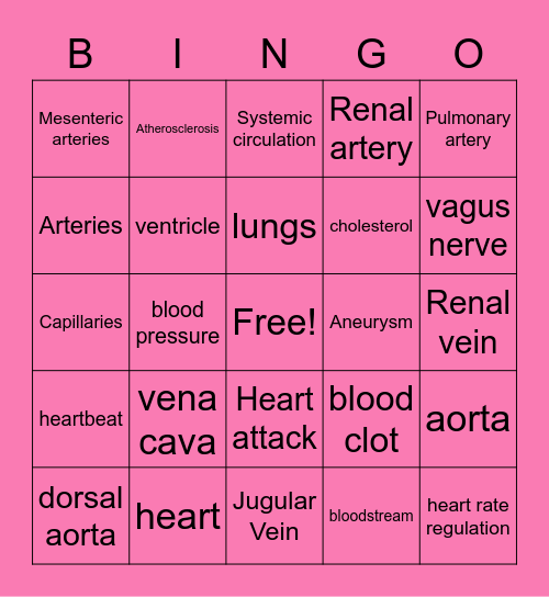 the circulatory system Bingo Card