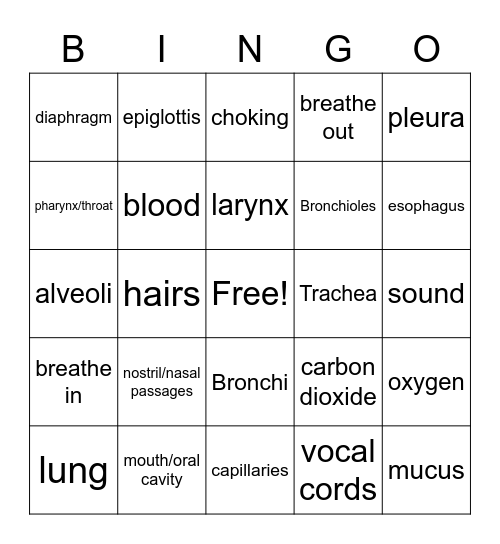 Respiratory system BiNGO Card