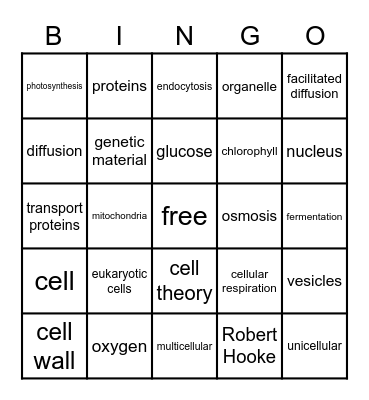 Cell Structure and Function Bingo Card