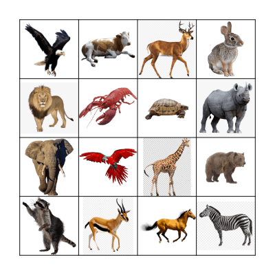 Animals Bingo Card
