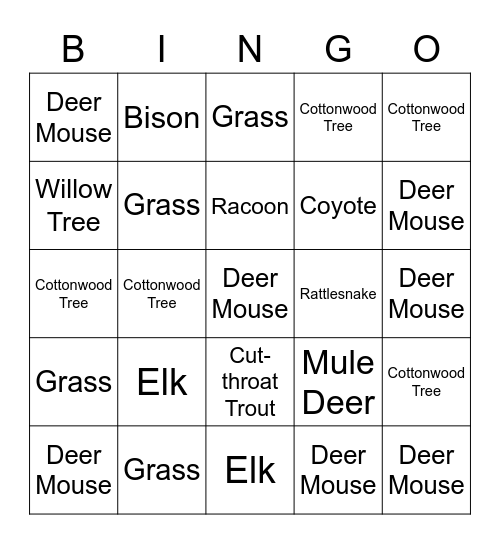 Biodiversity & Disturbance Game Bingo Card