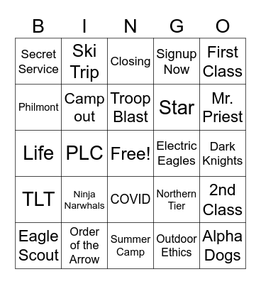 Troop 352 Bingo Card