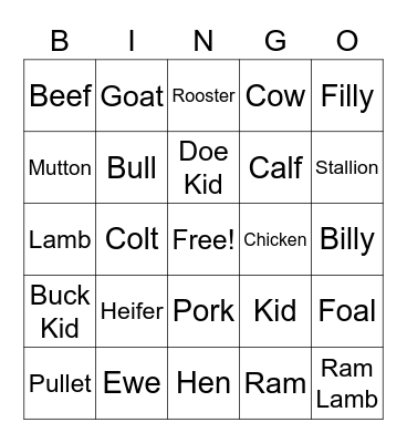 Animal Terminology Bingo Card