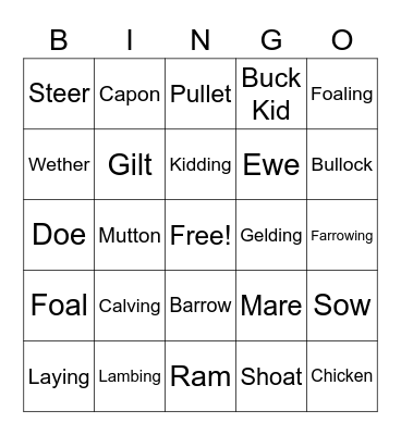 Animal Terminology Bingo Card