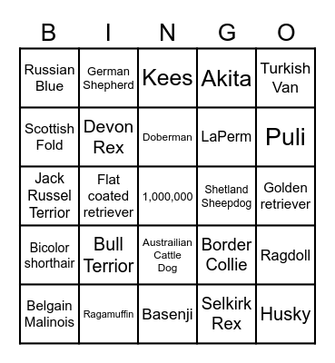 Cats and Dogs Bingo Card