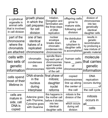 Cell Division and Mitosis Bingo Card