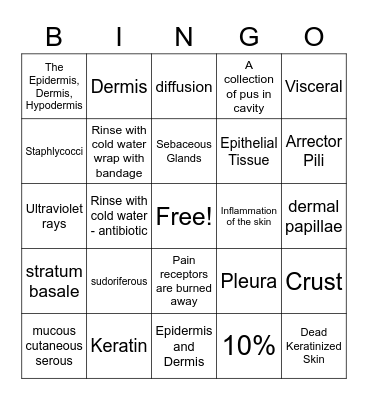 Integumentary System Bingo Card