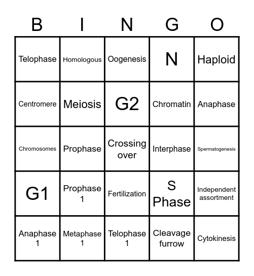 Cell Cycle Bingo Card