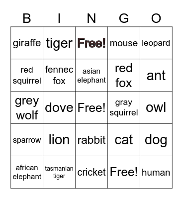 Animal Bingo Card