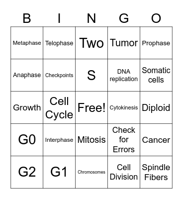Cell Cycle Bingo Card