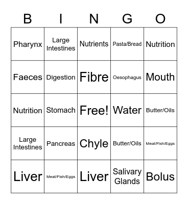 Nutrition and Digestion System Bingo Card