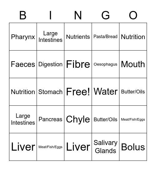 Nutrition and Digestion System Bingo Card