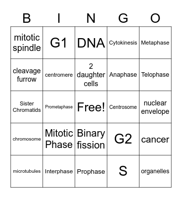 Cell Cycle Bingo Card