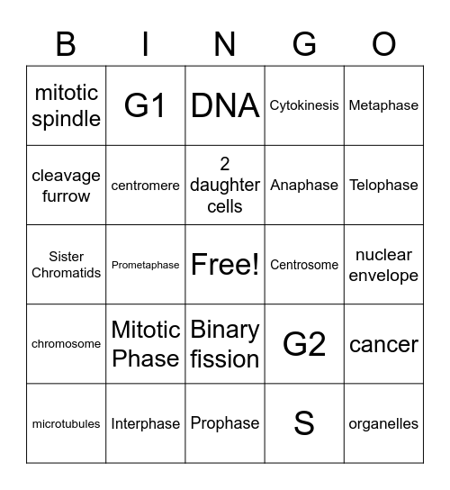 Cell Cycle Bingo Card