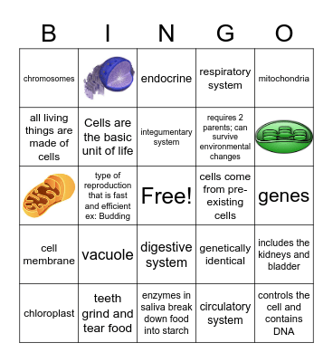 Semester Exam BINGO! Bingo Card