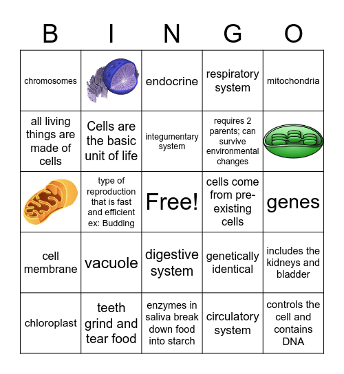 Semester Exam BINGO! Bingo Card