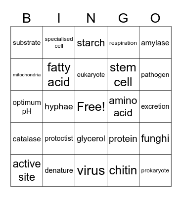 Year 9 Biology Bingo (Term 1) Bingo Card