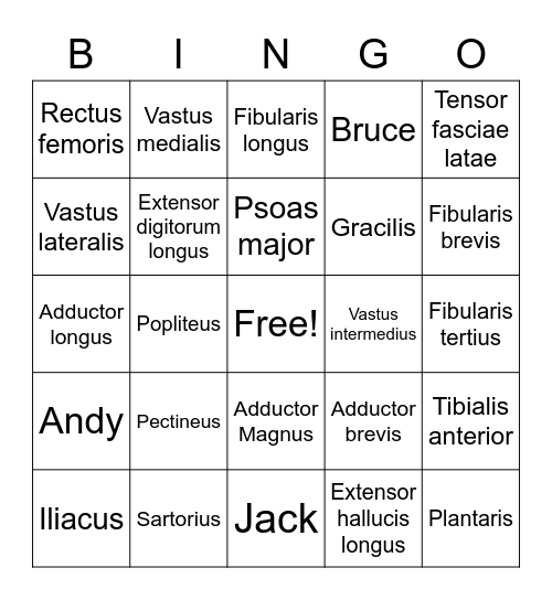 Lower Limb Muscles 1 Bingo Card