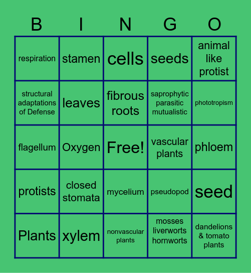 Protist Fungi Plants Bingo Card