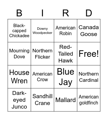 BIRD Bingo Card