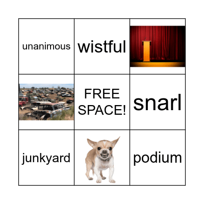 Junkyard Wonders Bingo Card