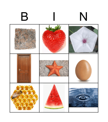 Shapes in Nature Bingo Card