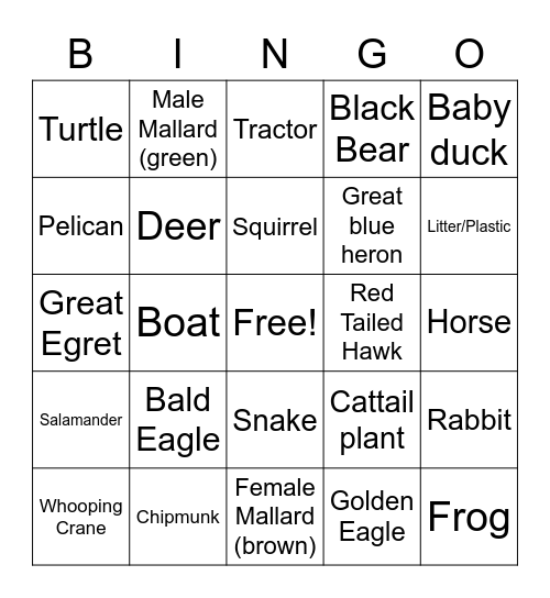 MR WOODS' DANG DINGO BINGO Card