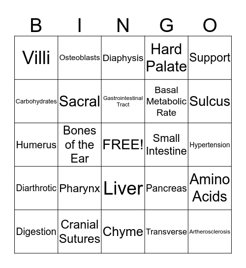 Principles Bingo Card