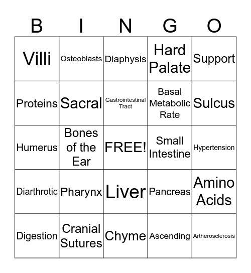 Principles Bingo Card