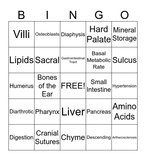 Principles Bingo Card