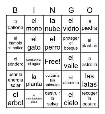 Vocabulary Bingo Card