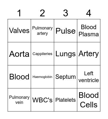 Circulatory System Bingo Card