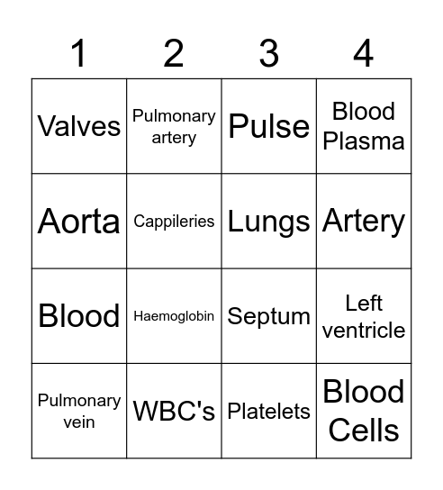 Circulatory System Bingo Card