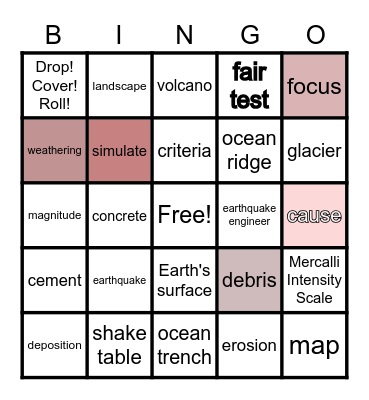 Changing Earth Vocabulary Bingo Card