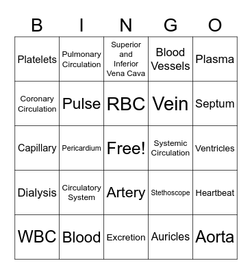 Transportation and Excretion Bingo Card