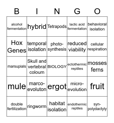 Kindgoms Bingo Card