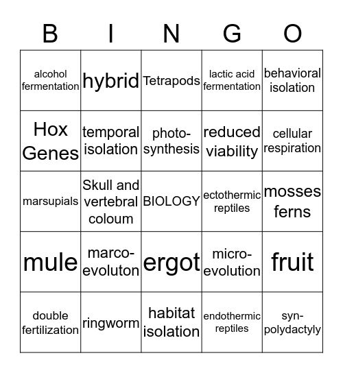 Kindgoms Bingo Card