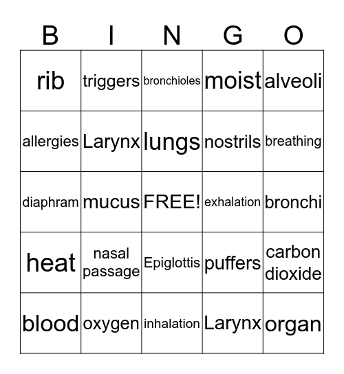 TAKE A BREATH Bingo Card