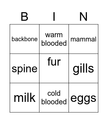 Animal classification Bingo Card