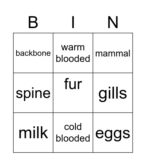 Animal classification Bingo Card