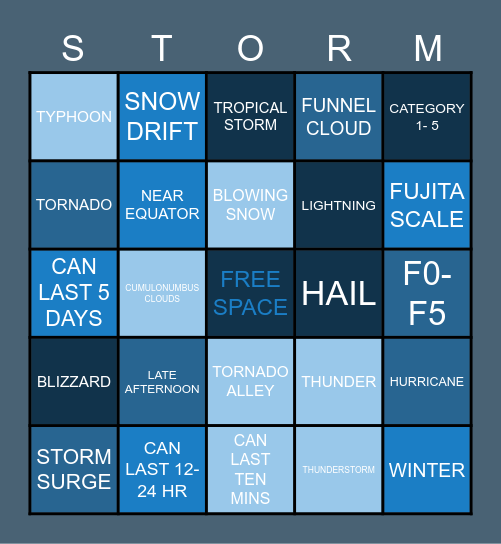 Types of Storms Bingo Card