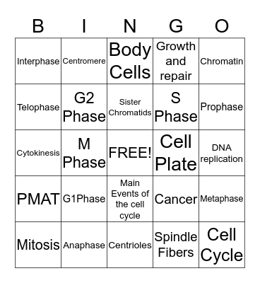 Cell Cycle Bingo Card