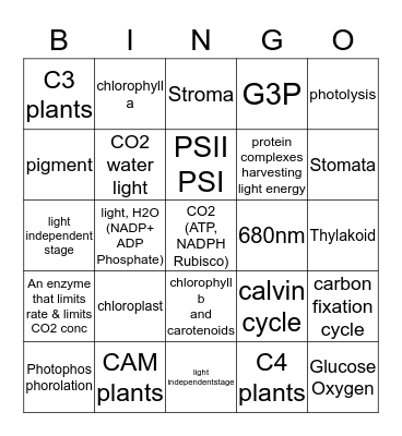 AP Biology Ch. 8 Photosynthesis Bingo Card