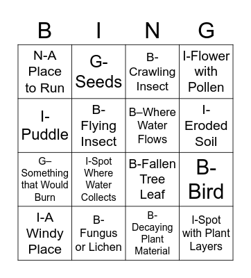 Backyard Ecosystem Services Bingo Card