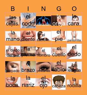 Los partes del cuerpo Bingo Card