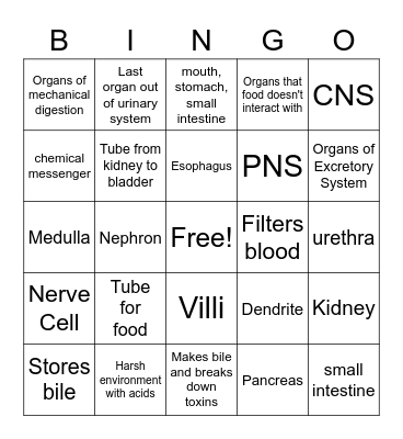 DIGESTIVE, NERVOUS, EXCRETORY SYSTEMS Bingo Card